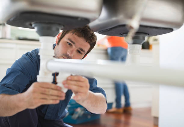 Best Residential Plumbing Services  in River Forest, IL